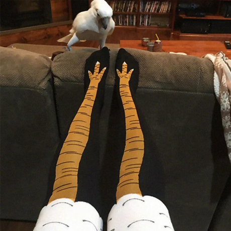 Funny Crazy Chicken Leg Feet Knee Socks for Men and Women- Novelty High Socks Funny Gifts